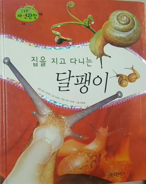 (집을 지고 다니는)달팽이 표지이미지