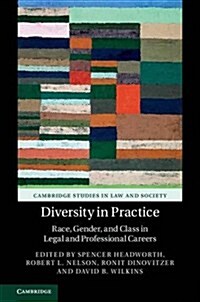 Diversity in Practice : Race, Gender, and Class in Legal and Professional Careers (Paperback)