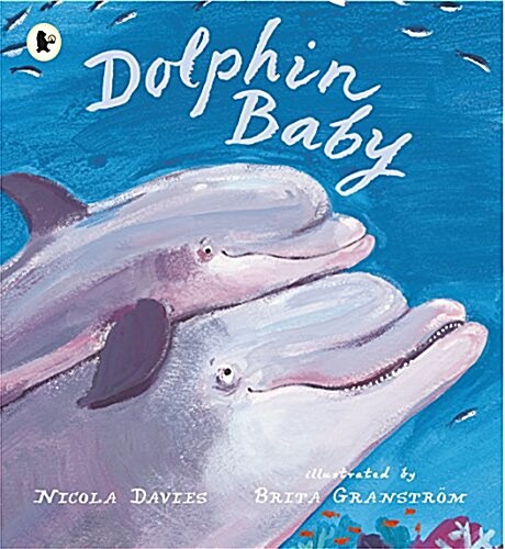 [중고] Dolphin Baby (Paperback)