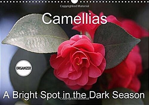 Camellias A Bright Spot in the Dark Season 2018 : Extraordinary Flowers in Winter (Calendar, 3 ed)