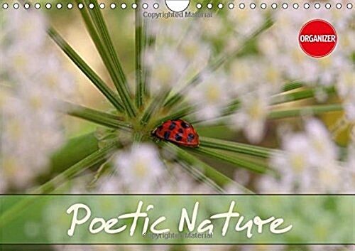 Poetic Nature 2018 : Atmospheric and Harmonious Nature Shots (Calendar, 3 ed)