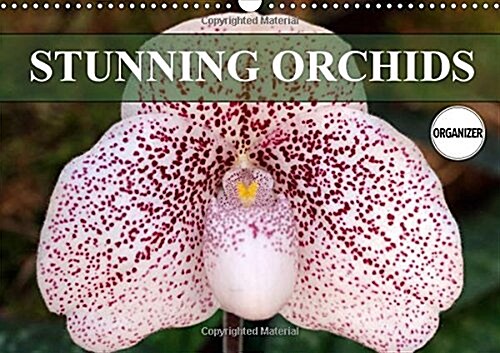 Stunning Orchids 2018 : A small selection from the immense variety of orchids (Calendar)