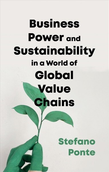 Business, Power and Sustainability in a World of Global Value Chains (Paperback)