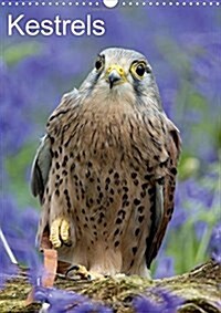 Kestrels 2018 : Kestrels on a Fallen Branch (Calendar, 3 ed)