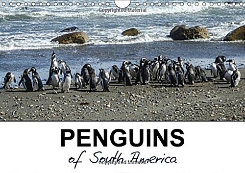 Penguins of South America 2018 : The Magellanic Penguin, a Native of South America (Calendar, 2 ed)