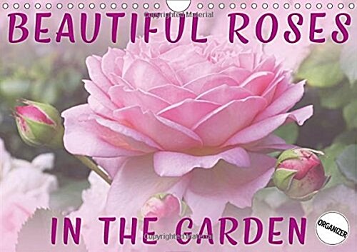 Beautiful Roses in the Garden 2018 : Discover beautiful roses in a natural garden environment (Calendar)