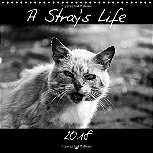 A Strays Life 2018 : Outtakes of a photo story about a clowder of feral cats. (Calendar)