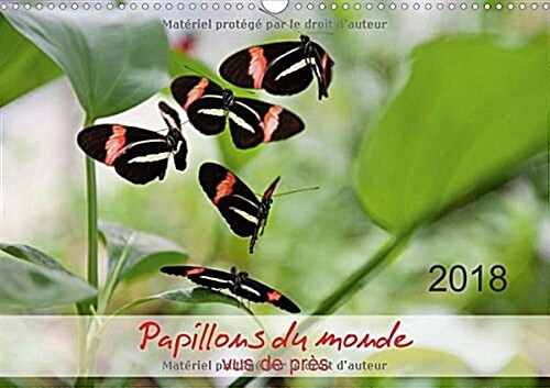 Papillons du monde, vus de pres 2018 : Portraits de douze papillons aux couleurs magnifiques, originaires dAfrique, dAsie et dAmerique du Sud - mac (Calendar)