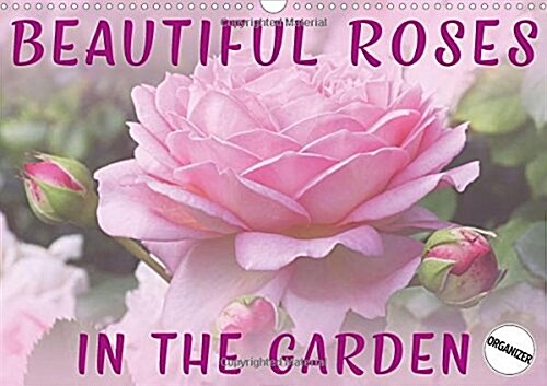 Beautiful Roses in the Garden 2018 : Discover beautiful roses in a natural garden environment (Calendar)