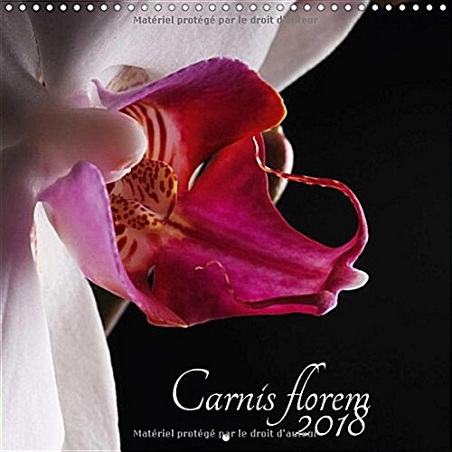 Carnis florem 2018 2018 : Sensuelle et delicate, elle est la reine des fleurs (Calendar)