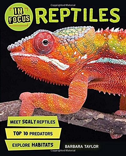 In Focus: Reptiles (Paperback, Main Market Ed. - UK)