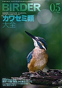 BIRDER(バ-ダ-)2017年5月號 カワセミ類 大全 (雜誌, 月刊)