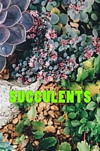 Succulents (Paperback)