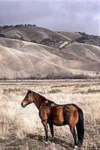 A Beautiful Brown Horse in a Winter Meadow Journal: 150 Page Lined Notebook/Diary (Paperback)