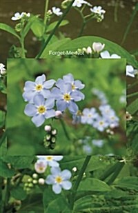 Forget-Me-Not: Journal (Paperback)