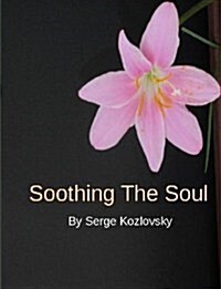 Soothing the Soul (Paperback)