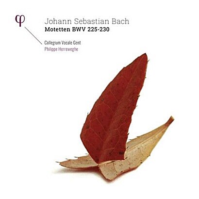 [중고] [수입] 바흐 : 모테트 BWV 225-230 (2LP)