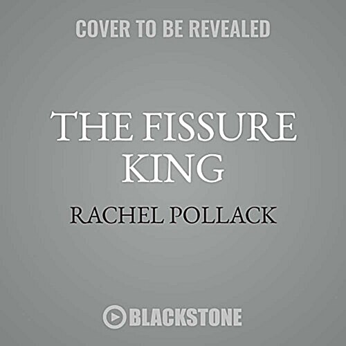 The Fissure King: A Novel in Five Stories (MP3 CD)