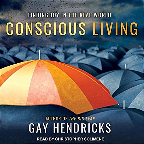 Conscious Living: Finding Joy in the Real World (MP3 CD)