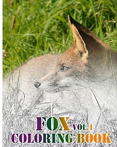 Fox: Coloring Book Vol.1: A Coloring Book Containing 30 Fox Designs in a Variety of Styles to Help You Relax (Paperback)
