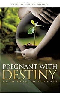 Pregnant with Destiny (Paperback)