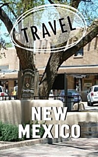 Travel New Mexico: Blank Trip Planner & Organizer (Paperback)