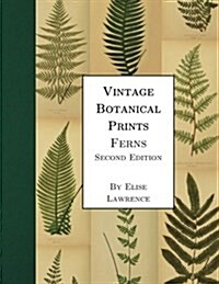 Vintage Botanical Prints: Ferns: Second Edition (Paperback)