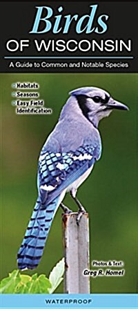 Birds of Wisconsin: A Guide to Common & Notable Species (Other)