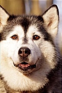 Gorgeous Husky Dog Pet Portrait Journal: 150 Page Lined Notebook/Diary (Paperback)
