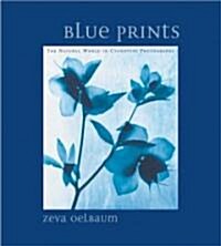 Blue Prints (Hardcover)