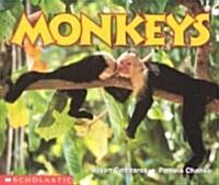 [중고] Monkeys (Paperback)