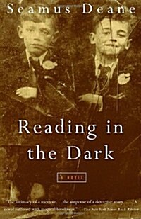 Reading in the Dark (Paperback)