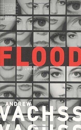 Flood (Paperback)