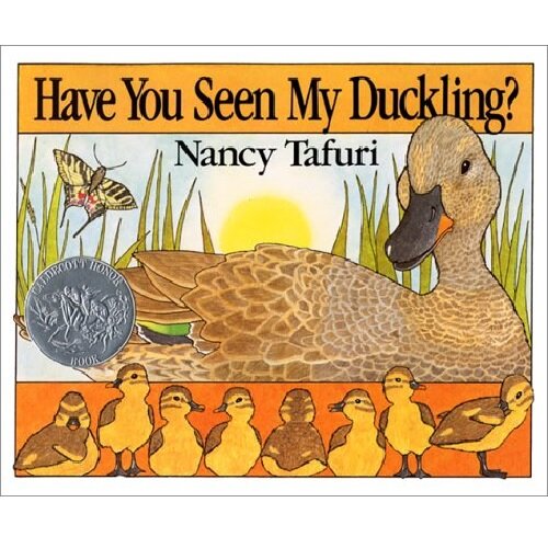 [중고] Have You Seen My Duckling?: A Caldecott Honor Award Winner (Paperback)