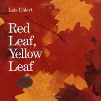 Red leaf, yellow leaf