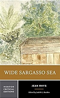 Wide Sargasso Sea: A Norton Critical Edition (Paperback)