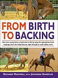From Birth to Backing (Hardcover)
