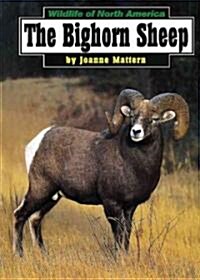[중고] The Bighorn Sheep (Library)