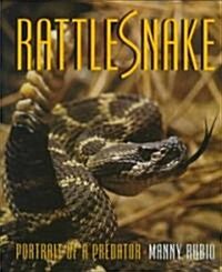 Rattlesnake: Portrait of a Predator (Hardcover)