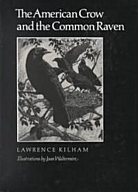 The American Crow & Common Raven (Paperback)