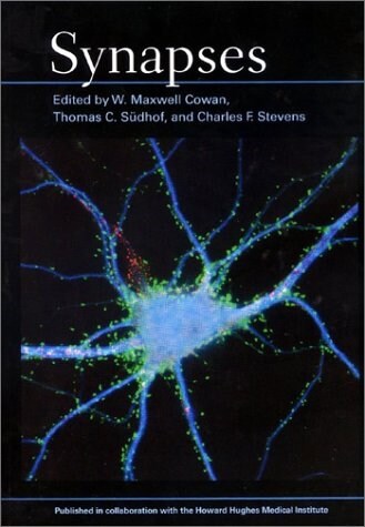 Synapses (Paperback)