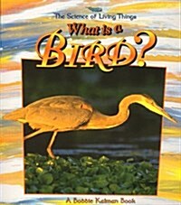 What Is a Bird? (Paperback)