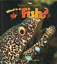 What Is a Fish? (Paperback)