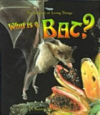 What Is a Bat? (Paperback)