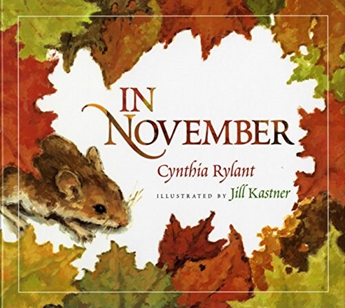 In November (Hardcover)