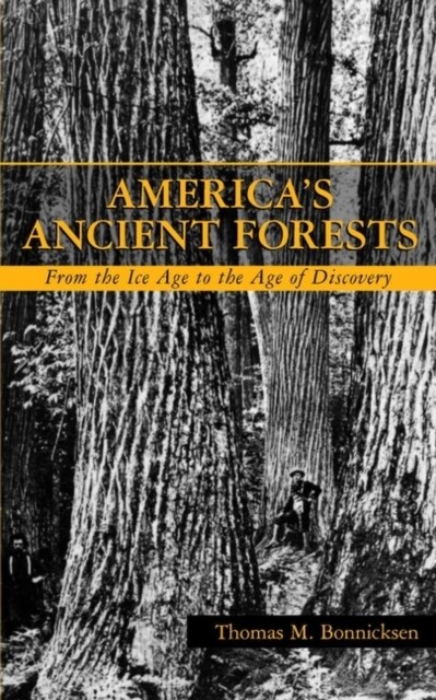 Americas Ancient Forests: From the Ice Age to the Age of Discovery (Hardcover)