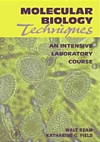 Molecular Biology Techniques: An Intensive Laboratory Course (Paperback)