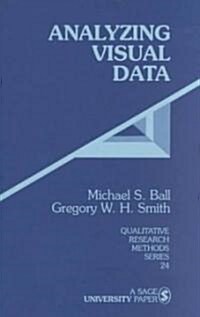 Analyzing Visual Data (Paperback)