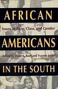 African Americans in the South (Hardcover)