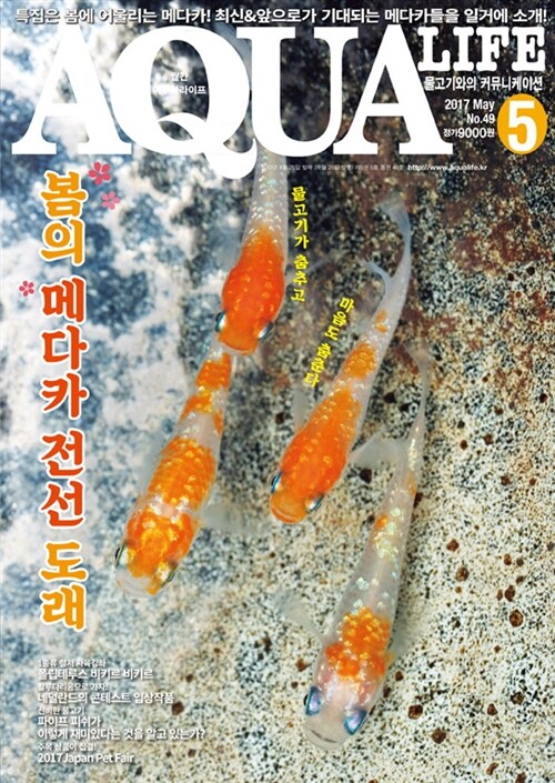 아쿠아 라이프 Aqua Life 2017.5